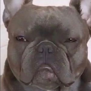 Meet your Posher, Kevin